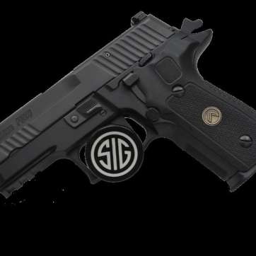 Sig Sauer LE P229 Legion | Black